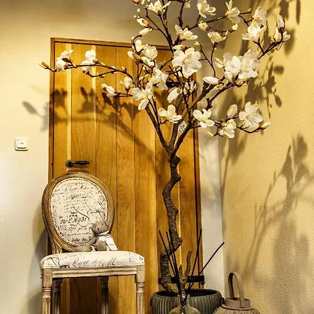 Stadtboutique Apartment